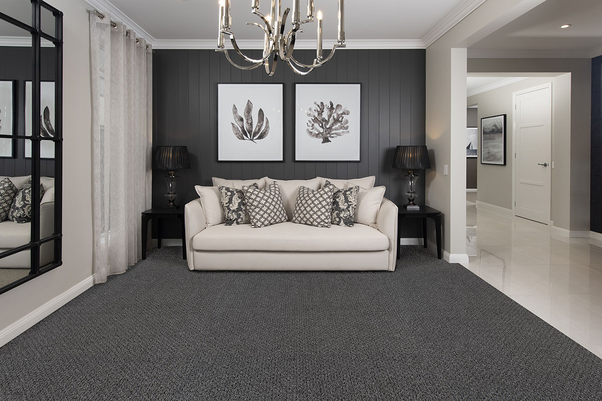 Party Proof Carpet