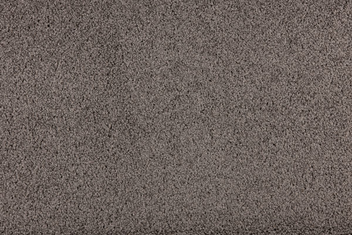 Solomons Flooring - terrain-pittman