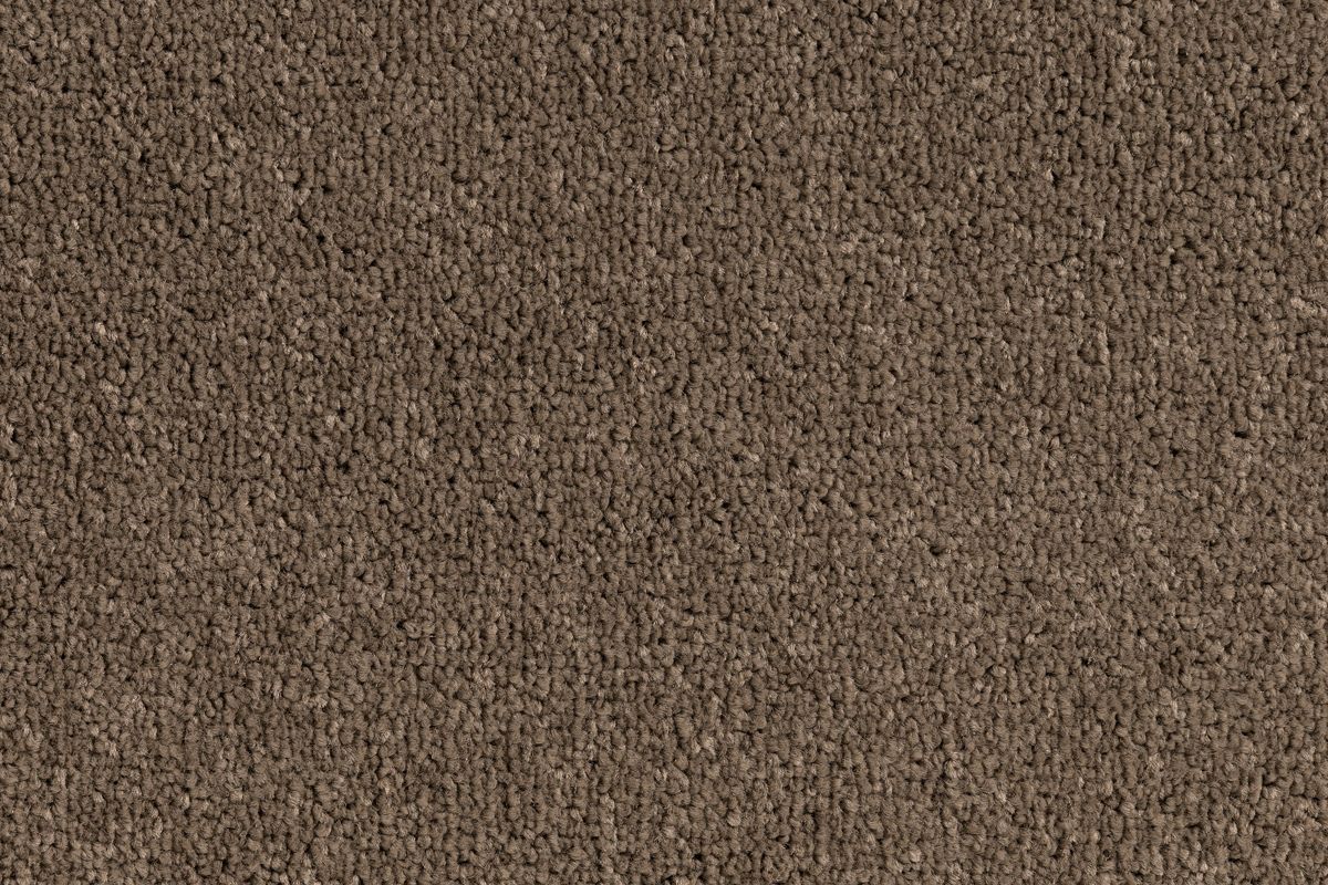 Solomons Flooring - comet-meteorite