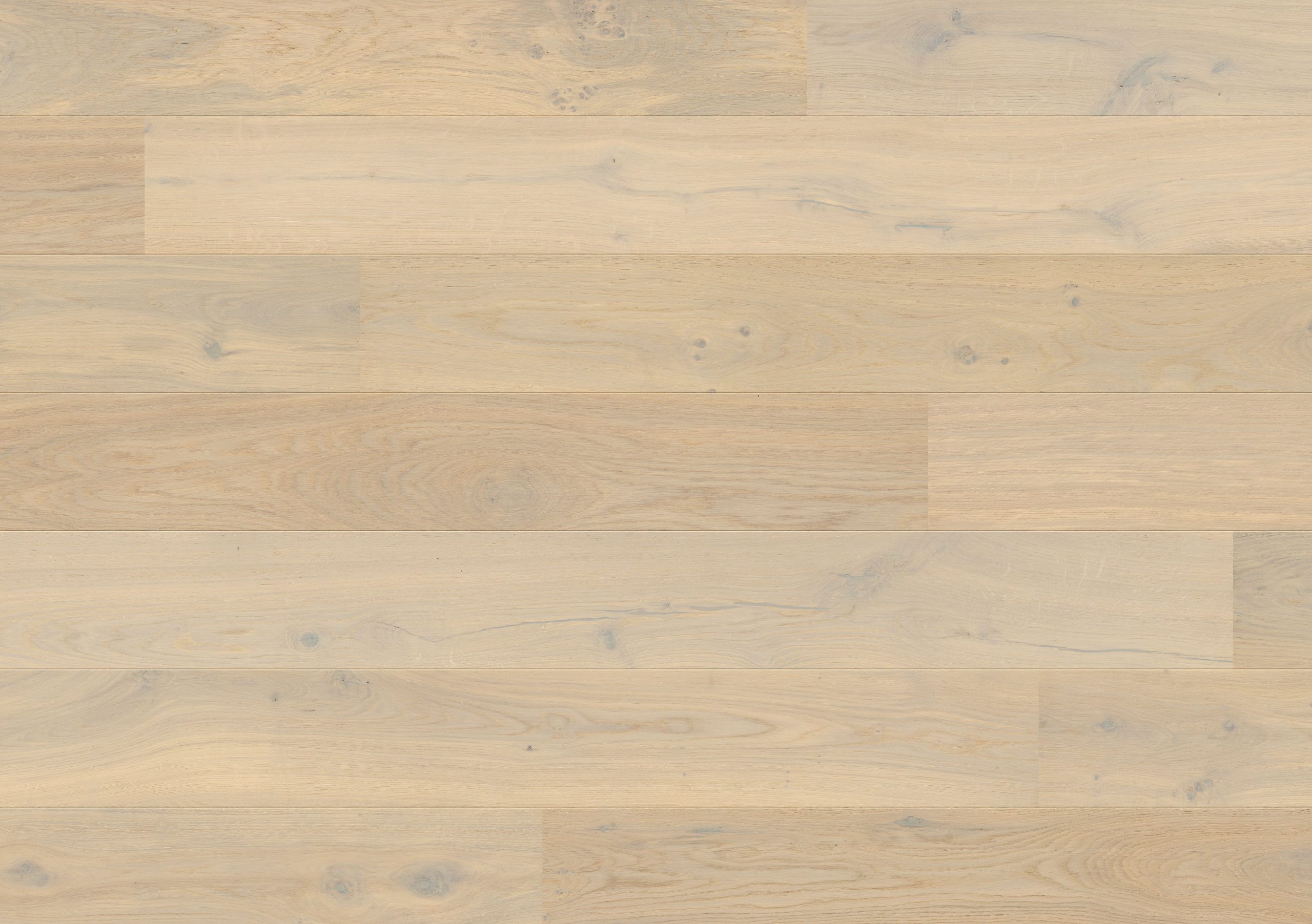 Solomons Flooring - snow-storm-oak-uco