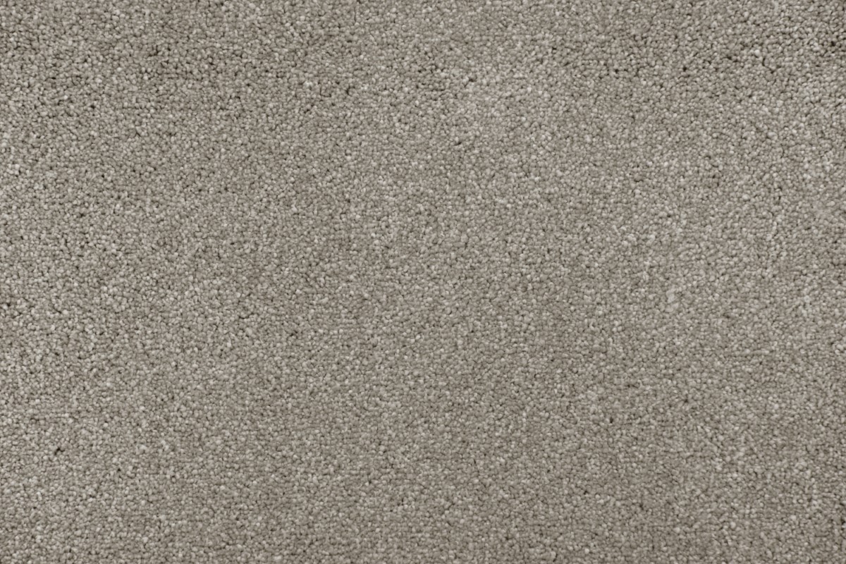 Solomons Flooring - songbird