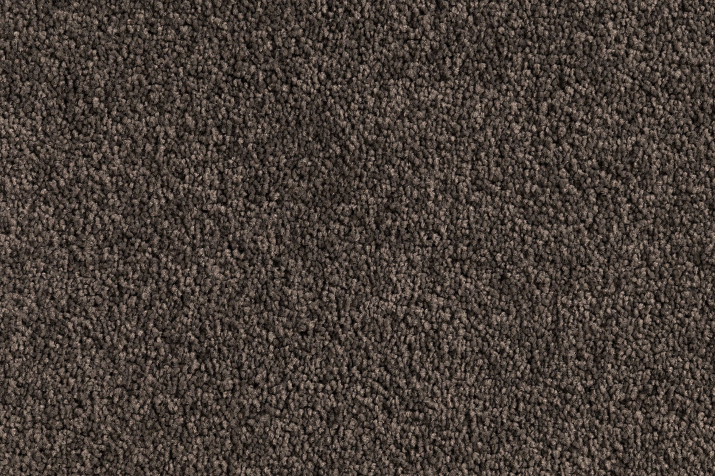 Solomons Flooring - ukulele