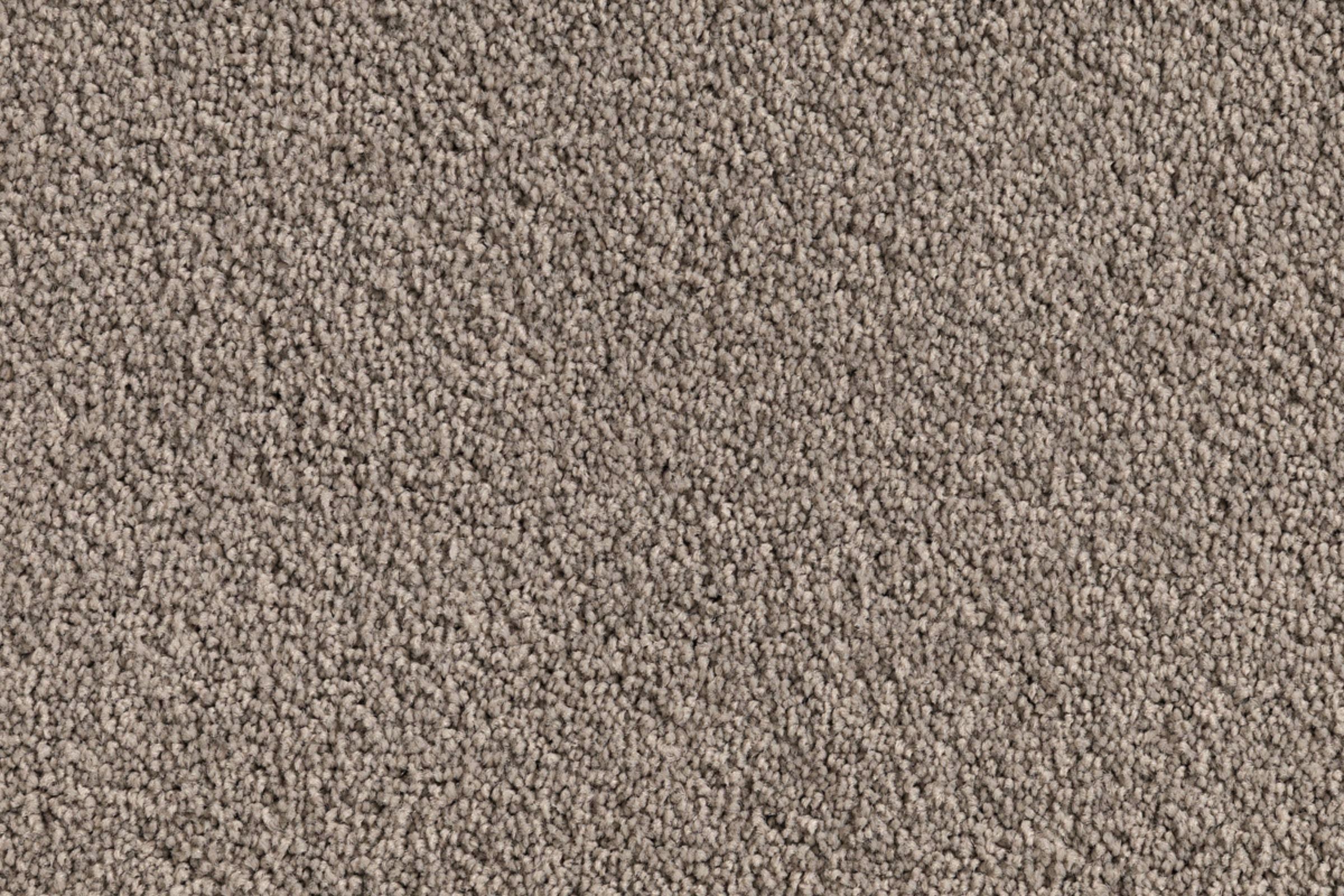 Solomons Flooring - tip-toe