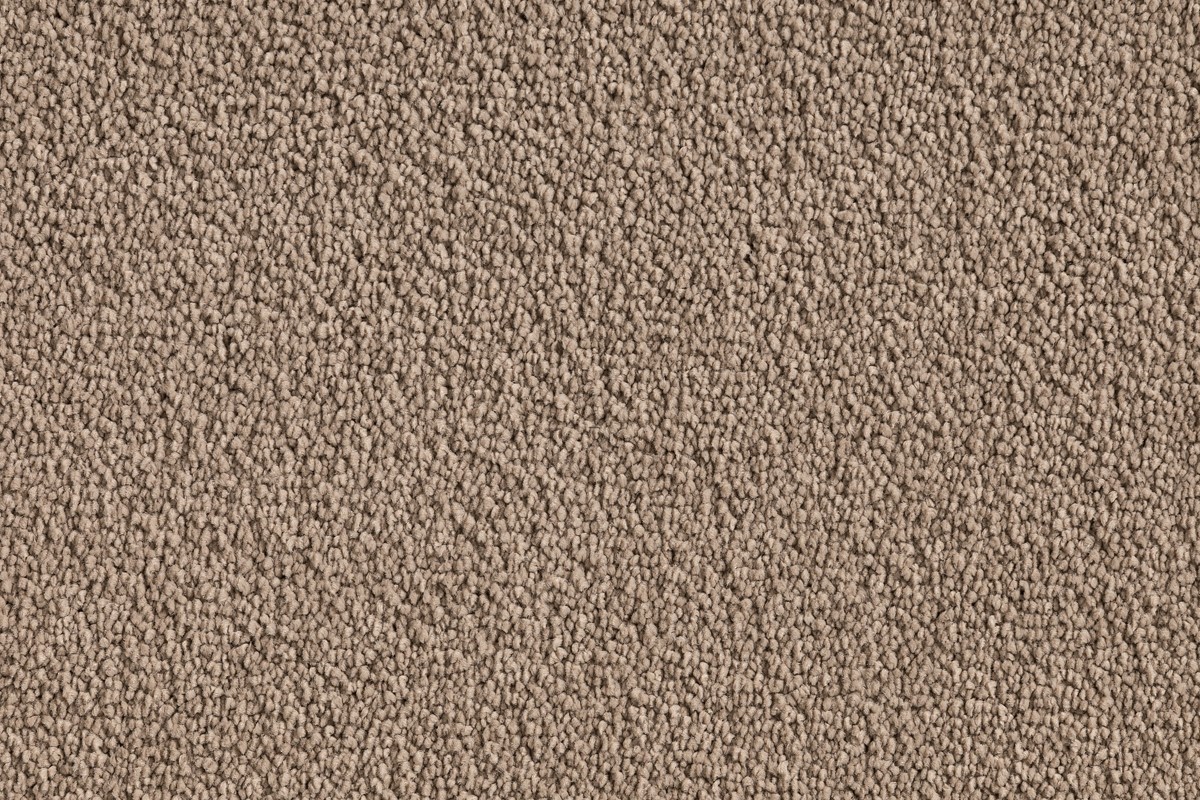 Solomons Flooring - cabo
