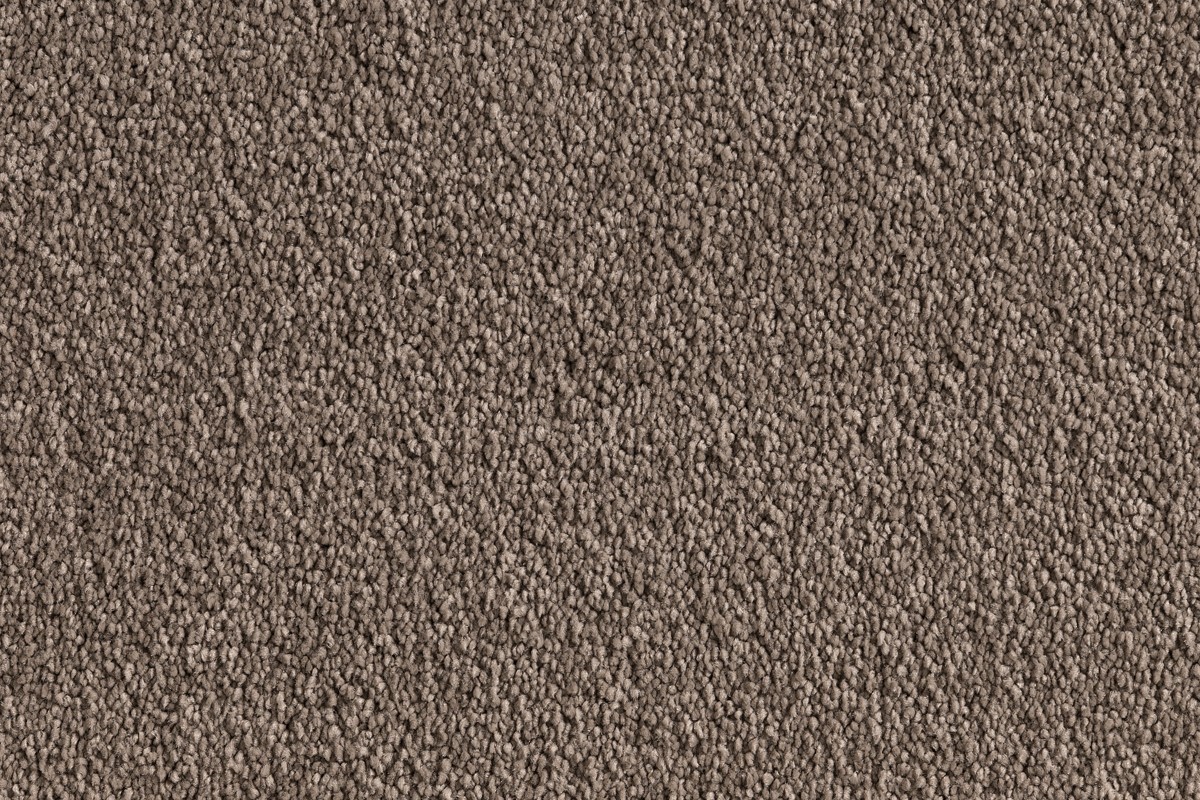 Solomons Flooring - hola