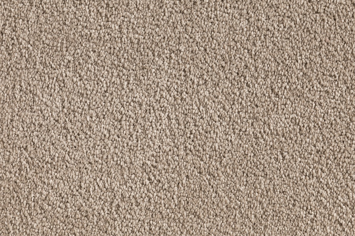 Solomons Flooring - taco