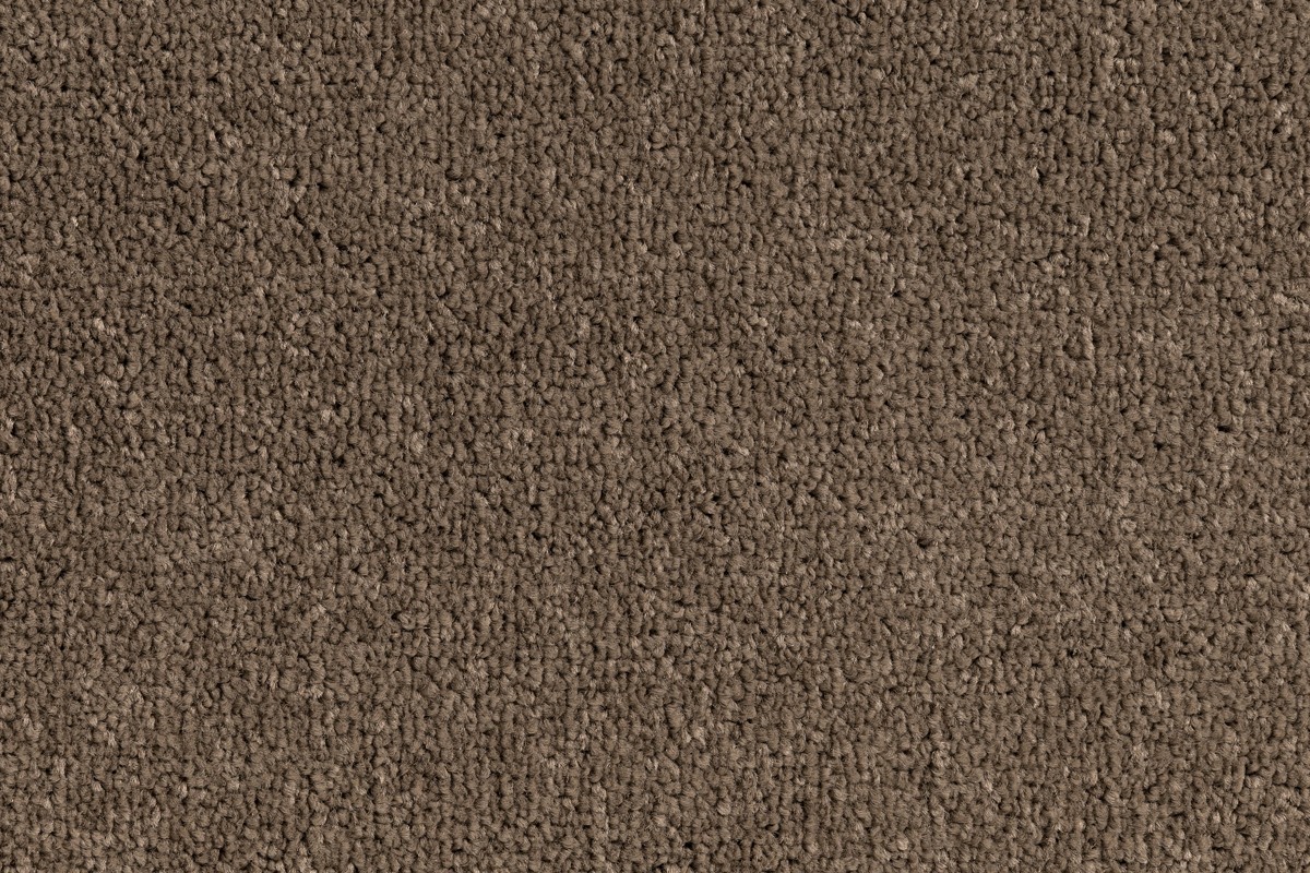 Solomons Flooring - petra