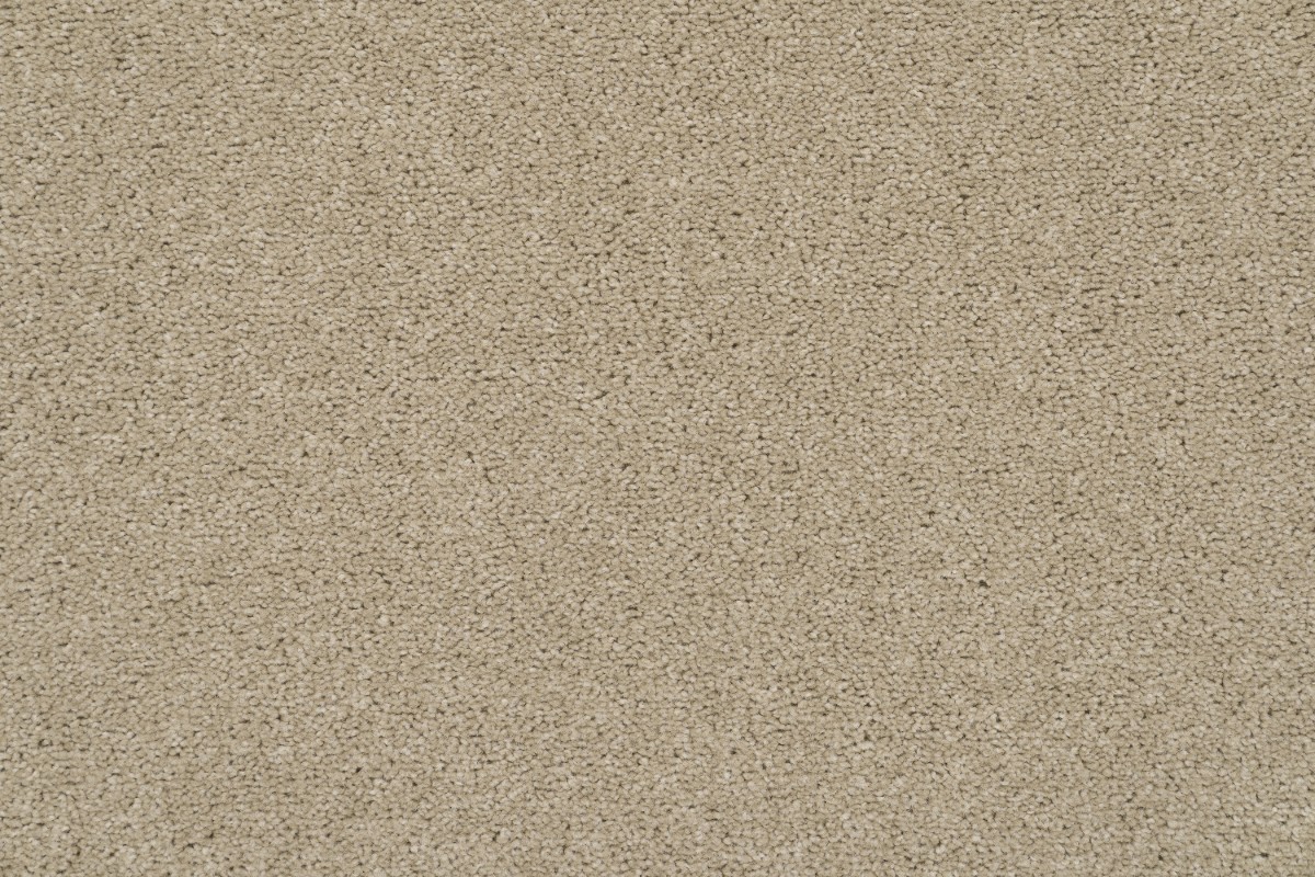 Solomons Flooring - radiant