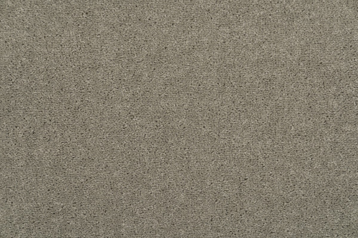 Solomons Flooring - bolide