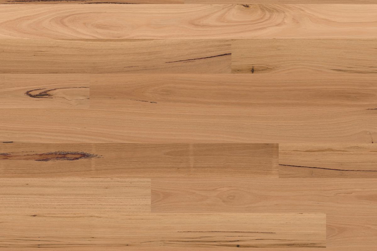 Solomons Flooring - blackbutt-scross-gloss