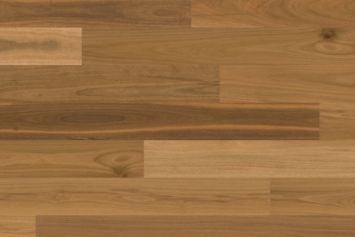 Solomons Flooring - spottedgum-scross-brushed
