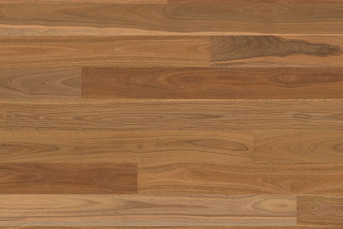 Solomons Flooring - spottedgum-scross-gloss